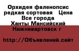 Орхидея фаленопсис редкая сортовая › Цена ­ 800 - Все города  »    . Ханты-Мансийский,Нижневартовск г.